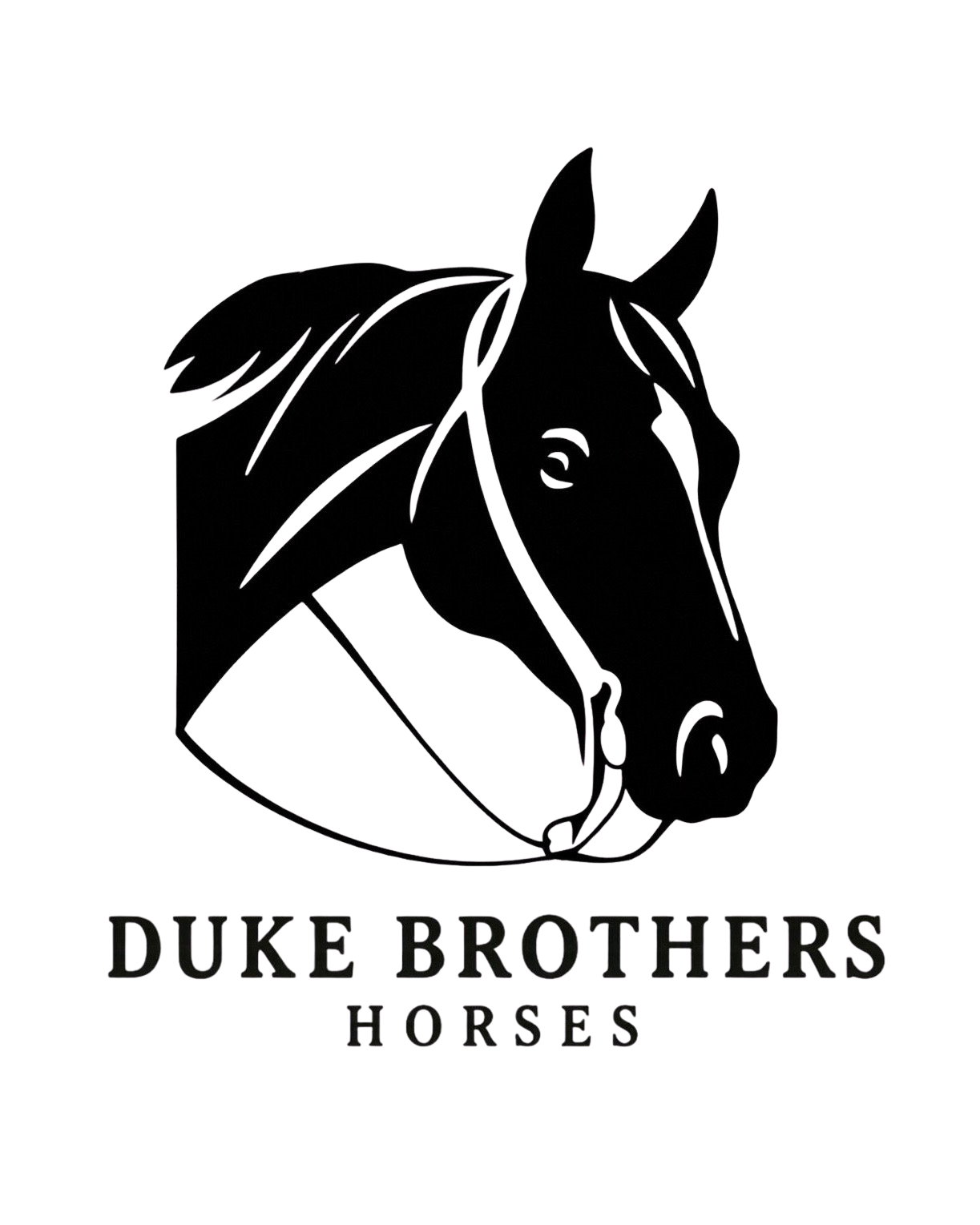 Duke Brothers Horses